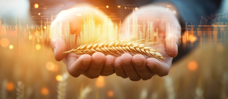 Wheat Stock Market: Global Agriculture and Investment